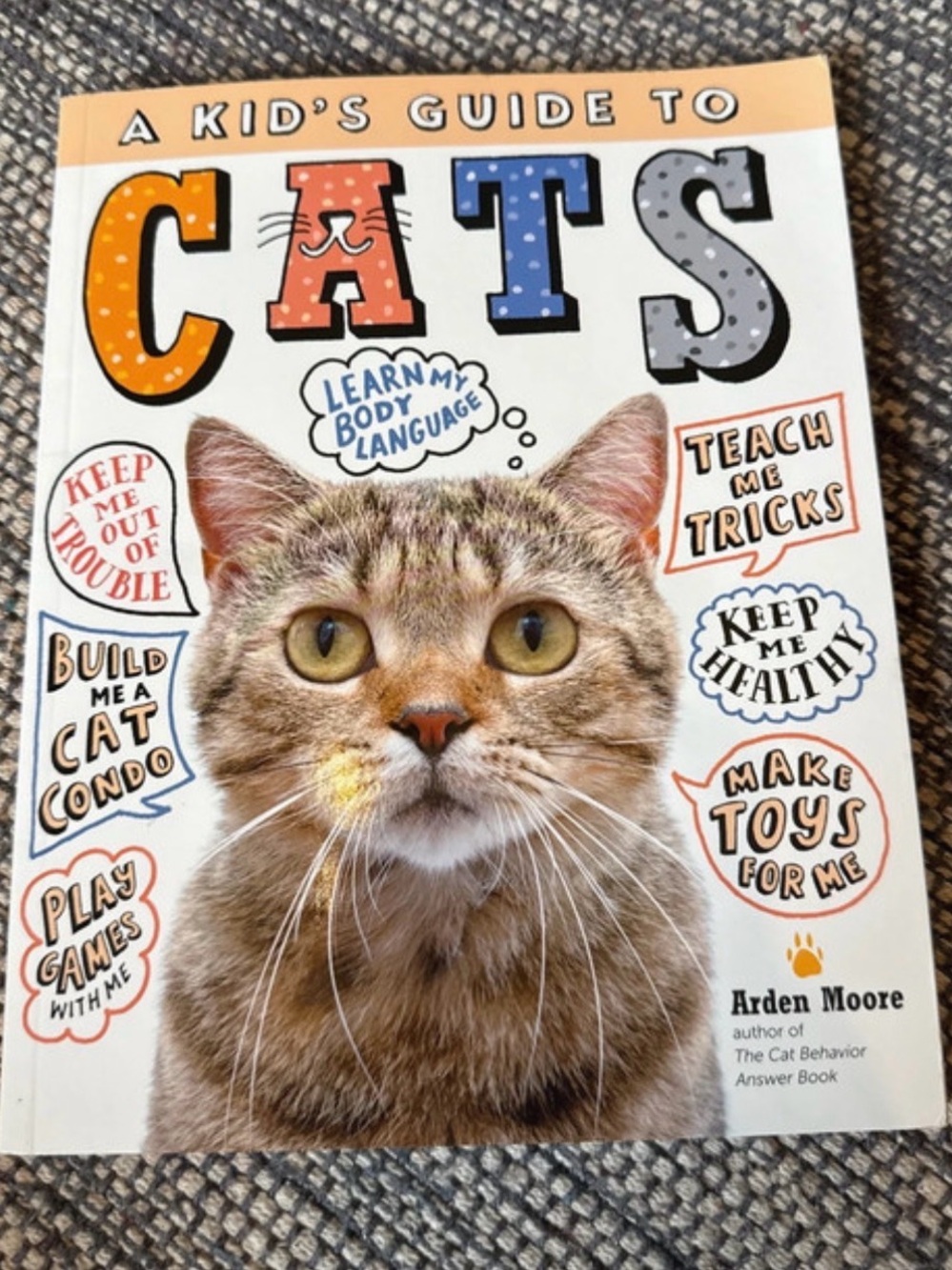 A Kid's Guide to Cats – Educational Kids' Book (White, Orange, Blue)